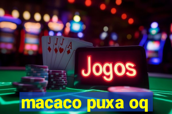 macaco puxa oq