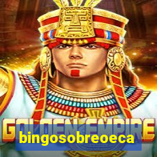 bingosobreoeca