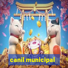 canil municipal