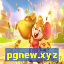 pgnew.xyz