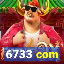 6733 com