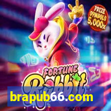 brapub66.com