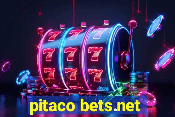 pitaco bets.net