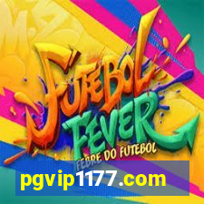 pgvip1177.com