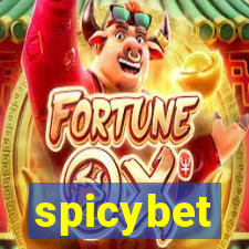 spicybet-4.com